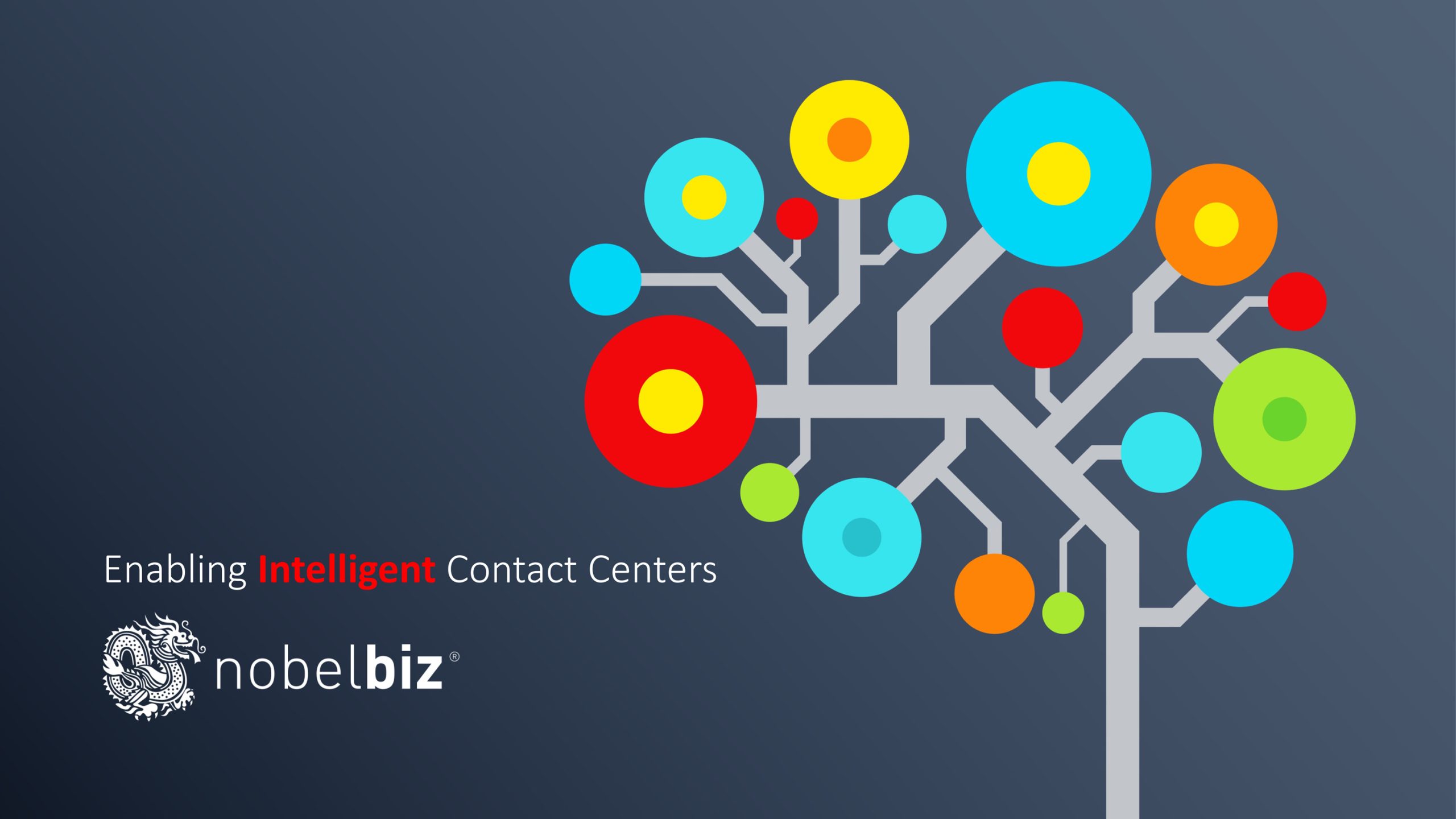 NobelBiz — Excerpts from the brand guide (2)